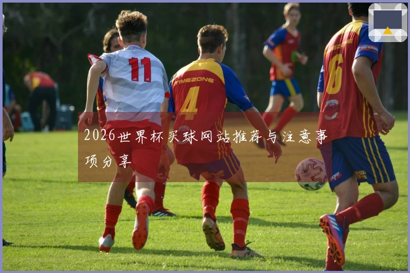2026世界杯买球网站推荐与注意事项分享
