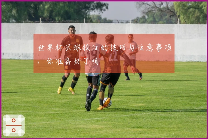 世界杯买球投注的技巧与注意事项，你准备好了吗