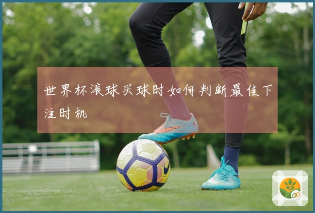 世界杯滚球买球时如何判断最佳下注时机