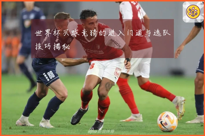 世界杯买球竞猜的进入门道与选队技巧揭秘
