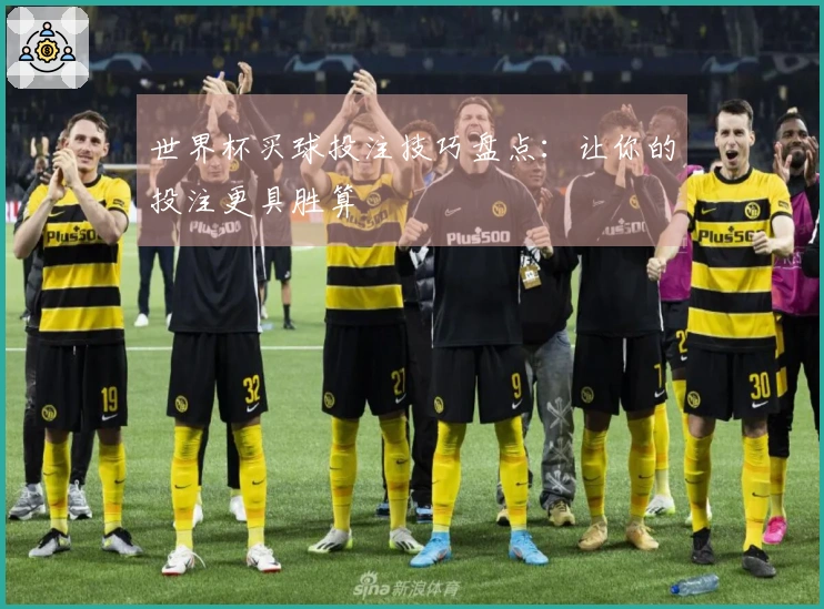 世界杯买球投注技巧盘点：让你的投注更具胜算