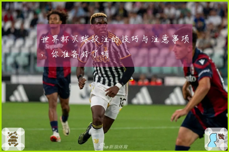 世界杯买球投注的技巧与注意事项，你准备好了吗