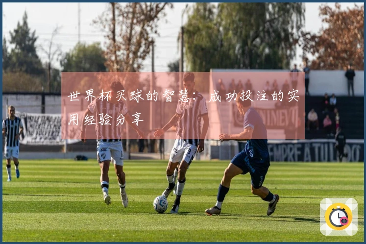 世界杯买球的智慧：成功投注的实用经验分享