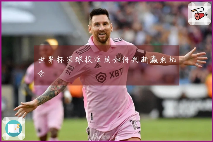 世界杯买球投注该如何判断赢利机会